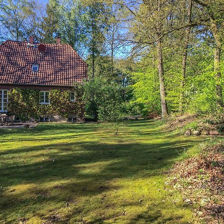 Forsthaus - Gut Thansen Soderstorf Extérieur photo